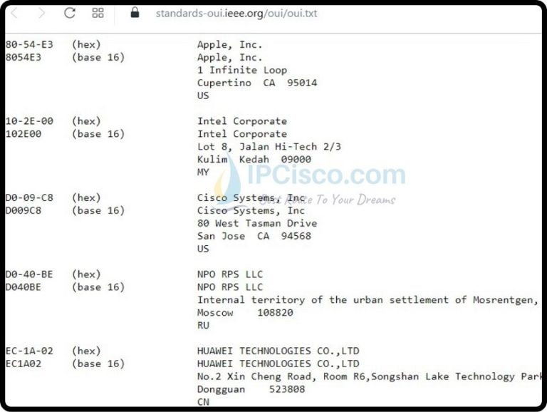 mac address assignment list