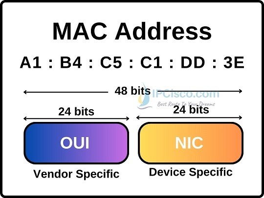 what-is-a-mac-address-ipcisco.com