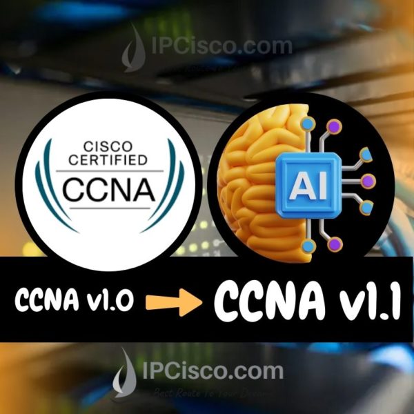 7 steps of cisco single area ospf configuration ipcisco