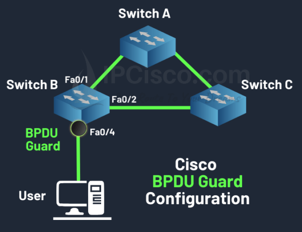 STP BPDU Guard ⋆ | Root Guard vs BPDU Guard vs BPDU Filter