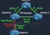 what is spanning tree protocol root guard, errdisabled state