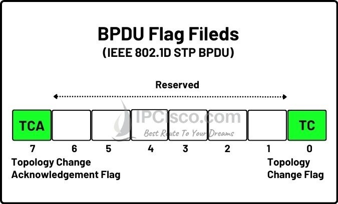 BPDU (Bridge Data Unit Protocol) ⋆ | Configuration & TCN BPDU