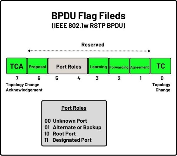 BPDU (Bridge Data Unit Protocol) ⋆ | Configuration & TCN BPDU