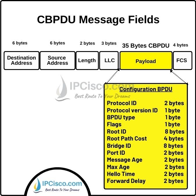 configuration bpdu cbpdu message fields