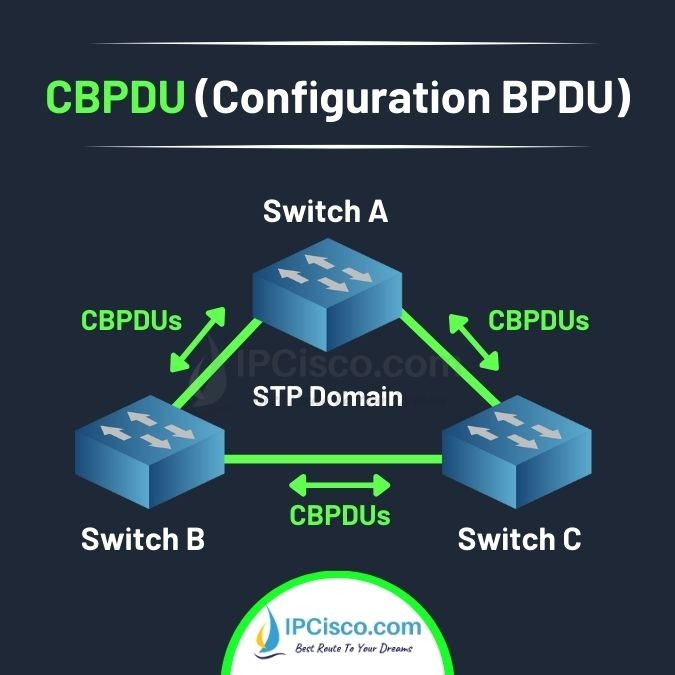 configuration bpdu cbpdu topology 