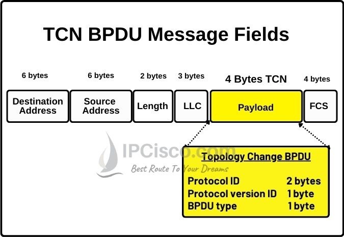 BPDU (Bridge Data Unit Protocol) ⋆ | Configuration & TCN BPDU