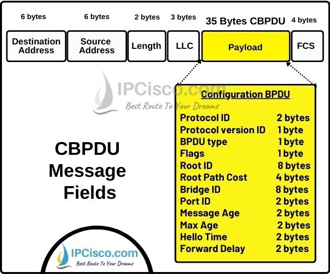 what is bpdu, what is bridge protocol data unit