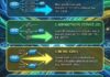 best path route selection process cheat sheet