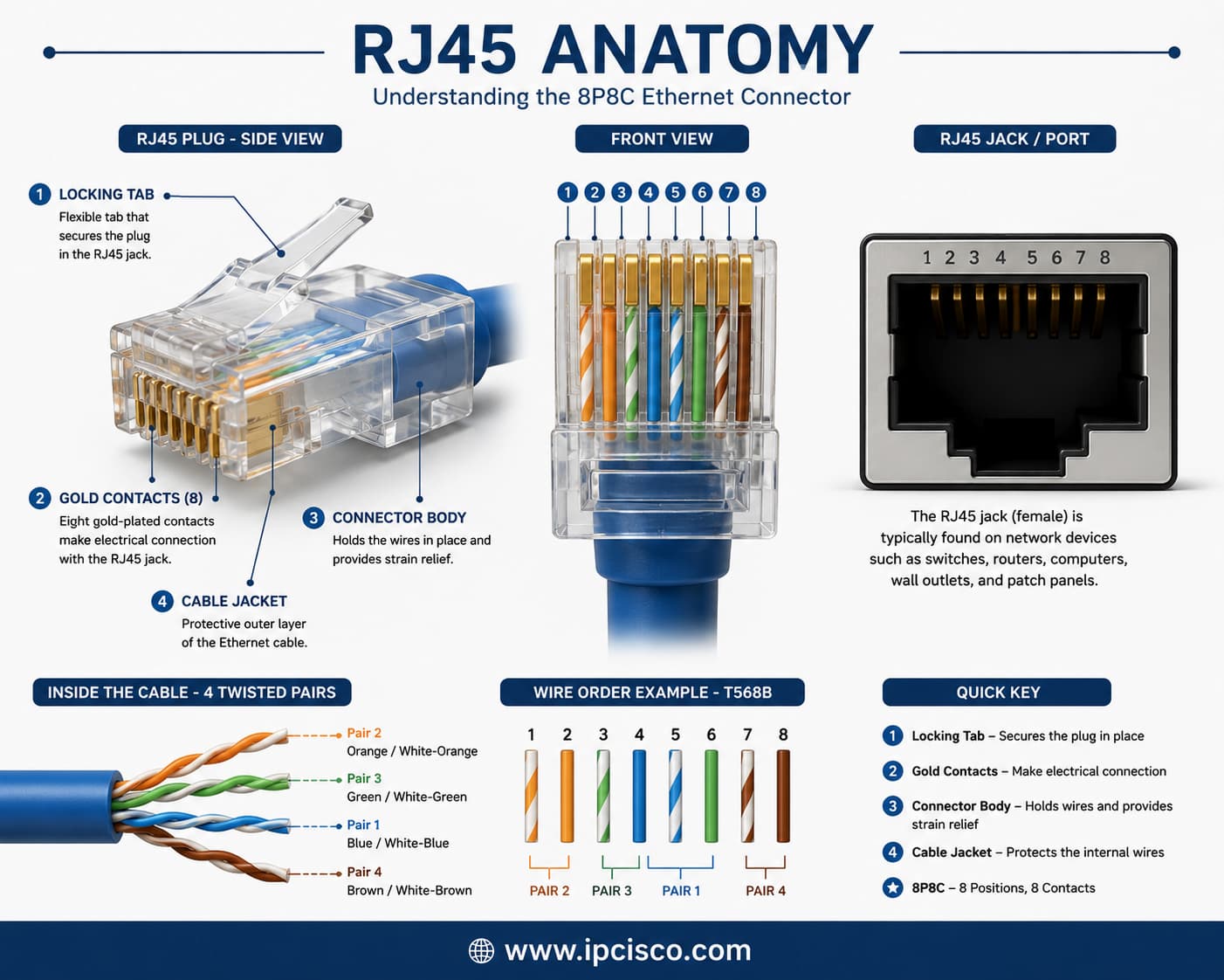 RJ45 connector anatomy showing the locking tab, eight gold contacts, wire channels, cable jacket and twisted-pair Ethernet wires.