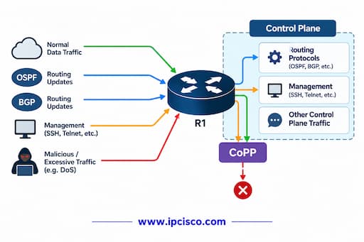 Control Plane Policing CoPP ccnp question