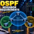 OSPF Neighbor Requirements: When Does OSPF Neighborship Form?