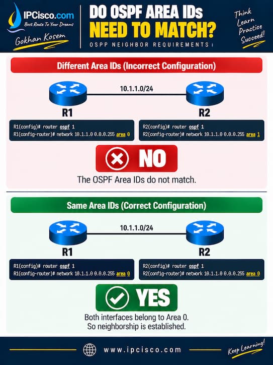 OSPF Neighbor Requirements Area IDs