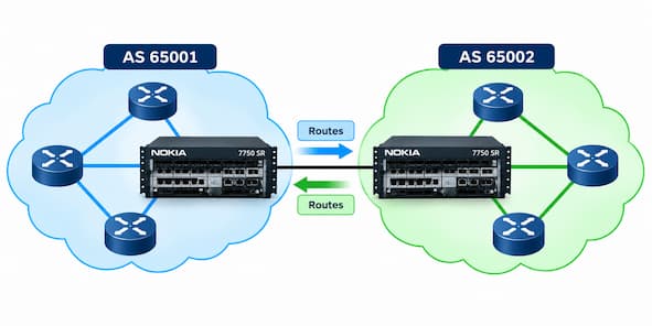 bgp questions nokia NRS questions