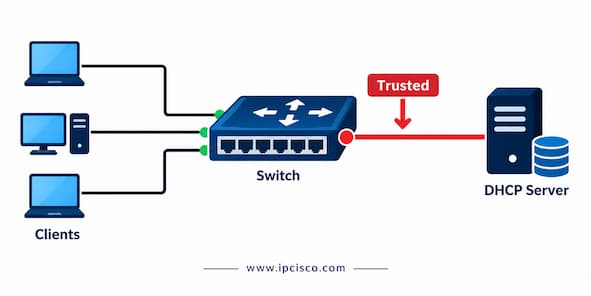 ccna dhcp snooping trusted interface question