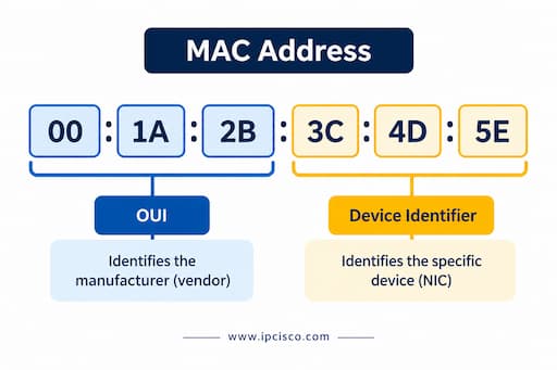 ccna mac address question ipcisco