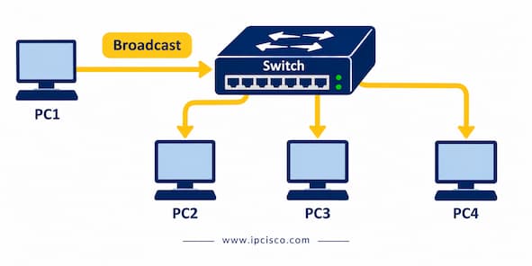ccna questions unknown MAC broadcast