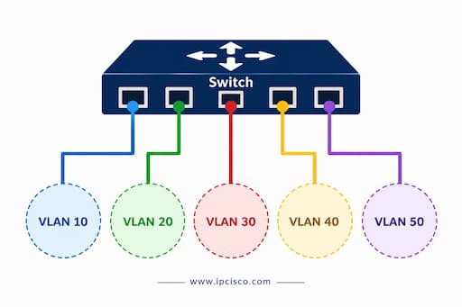 ccna vlan broadcast domain question ipcisco
