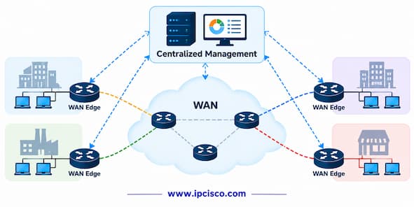 ccnp ccie sd wan components question