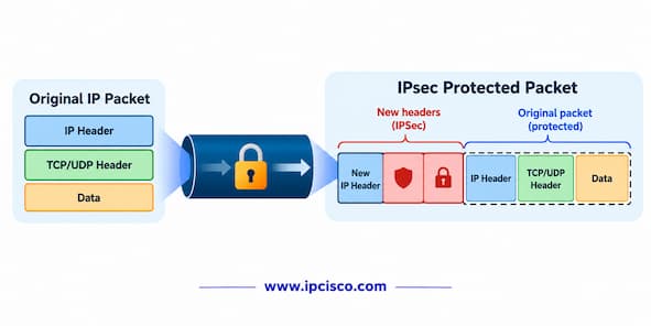 ccnp encor ipsec questions