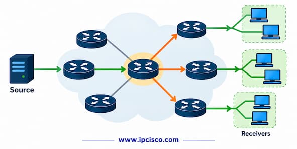 ccnp encor multicast routing protocol question