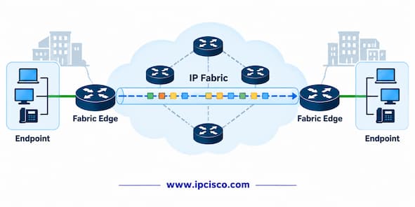 ccnp encor sd access question