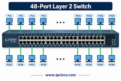 jncia junos collision domain ipcisco