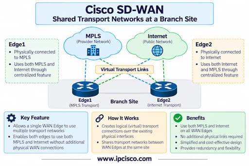 ccie-enterprise-infrastructure-Cisco-SD-WAN-example-question
