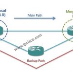 mpls-point-of-local-repair-(PLR)-and-merge-point-(MP)