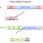 vlan frame tagging protocols