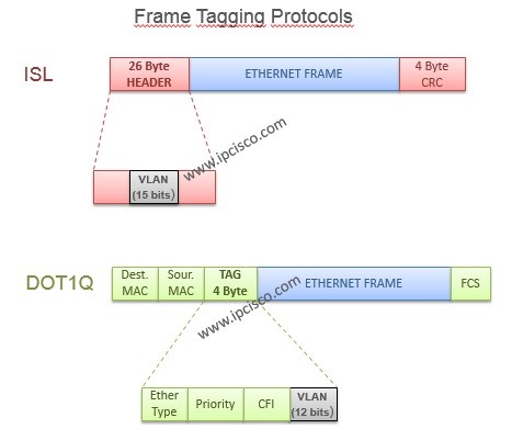 Vlan Frame Structure Cisco Packet Tracer - Infoupdate.org