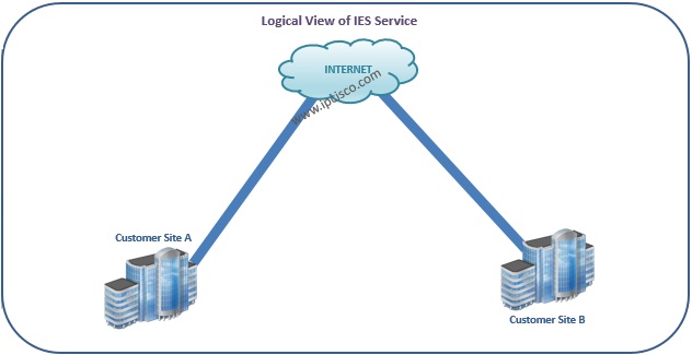 Nokia, Customer View of IES