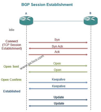 bgp (border gataway protocol) session establishment