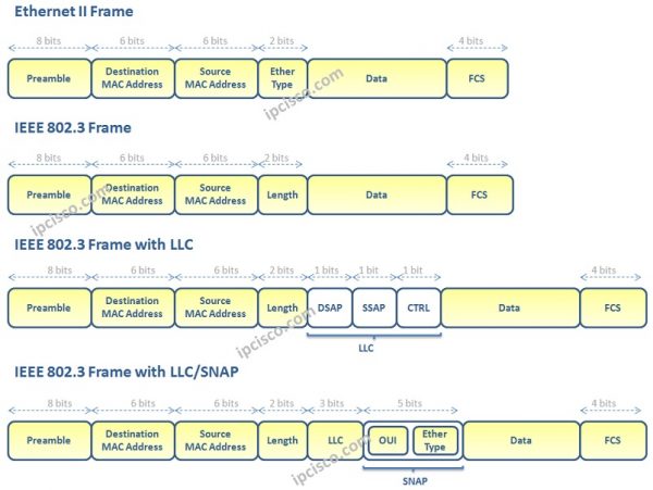 Ethernet Frame | Ethernet Basics | Ethernet Technology ⋆ IpCisco