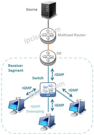 IGMP-overview