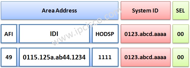 IS-IS Protocol, Address Format