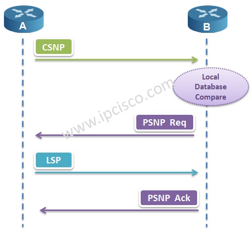 IS-IS CSNPs and PSNPs