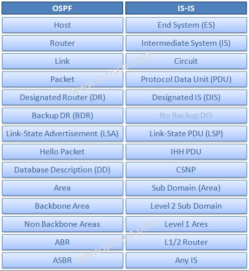 IS-IS Protocol and OSPF Protocol Terminology Comparison
