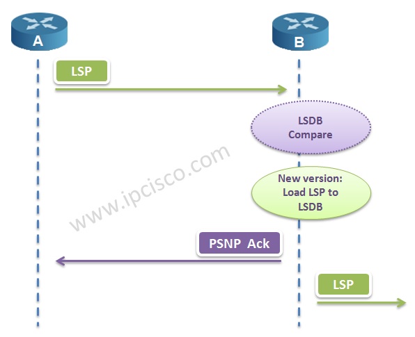 New version LSP, LSDP Database Update, PSNPs
