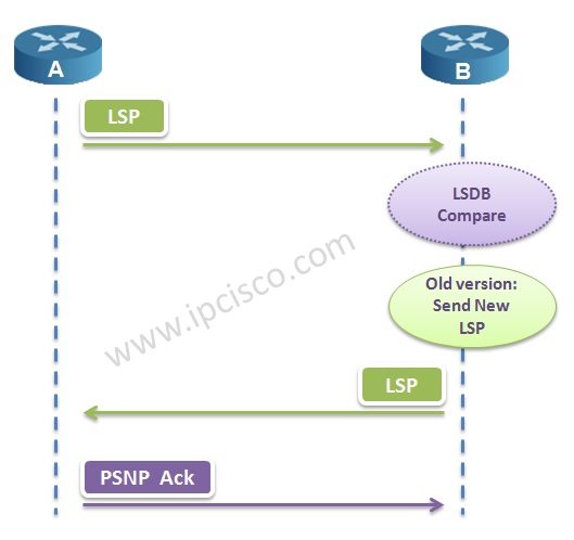 Old version LSP, Send New LSP, PSNPs