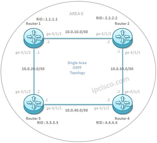 Juniper-OSPFv2-configuration-example