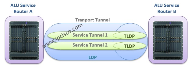 Encontacto Tle LDP Complet