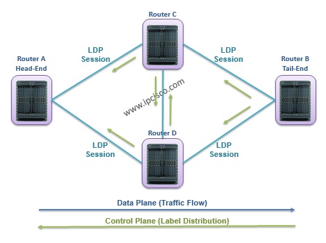 Label Distribution And Traffic Flow