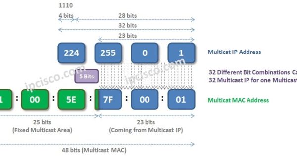 Multicast MAC Addresses | 2 Parts of Multicast MAC ⋆ https://ipcisco.com