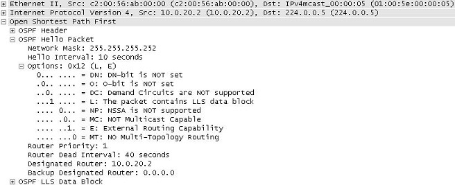 OSPF (Open Shortest Path First) Hello Packet