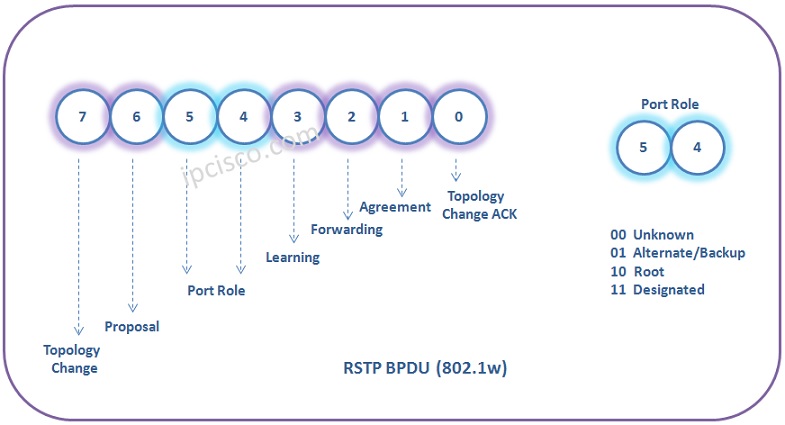 RSTP-bpdu