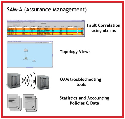 Nokia, Assurance Management