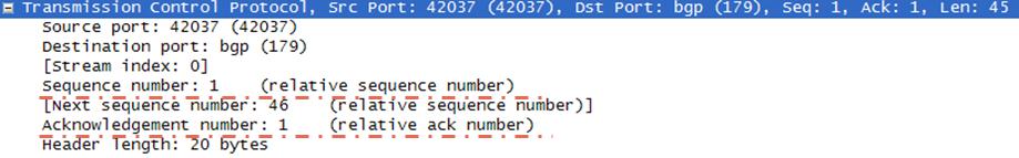 TCP Sequence Number and TCP Acknowledgement fields