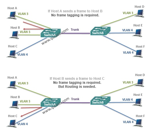 no vlan frame tagging require