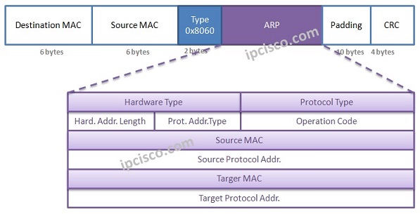 arp-packet-format