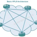 basic-vpls-architecture-ipcisco